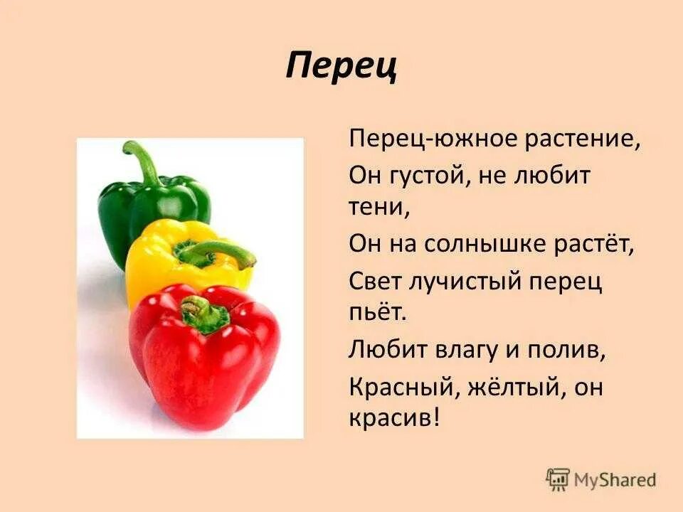 Чем полезен сладкий перец. Презентация про болгарский перец. Перец для презентации. Рассказ о перце. Информация про перец болгарский.