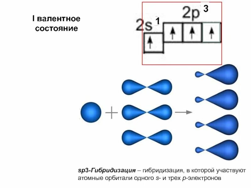 При sp3 гибридизации образуется. Соединения с sp3 гибридизацией. сп2 и сп3 гибридизация. схема образования sp3 гибридных орбиталей. сп три гибридизация.