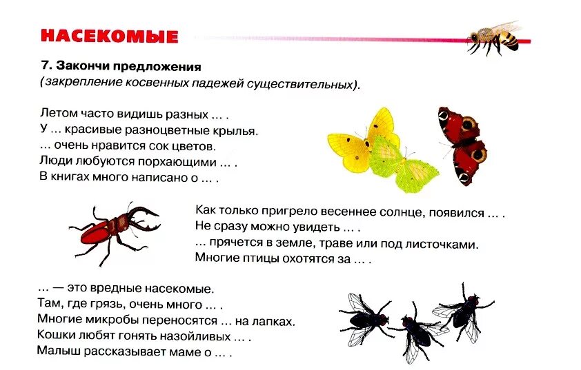 Конспект насекомые старшая группа. Предложения тема насекомые. Тема недели насекомые. Тема недели насекомые бабочки. Тема недели насекомые и пауки.