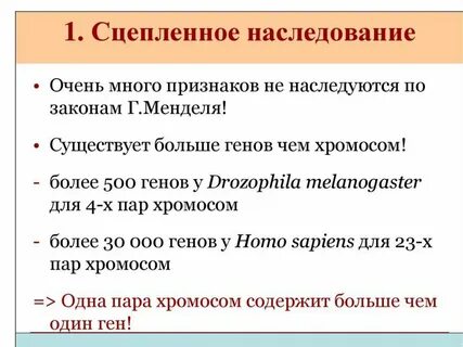 Автор закона сцепленного наследования генов