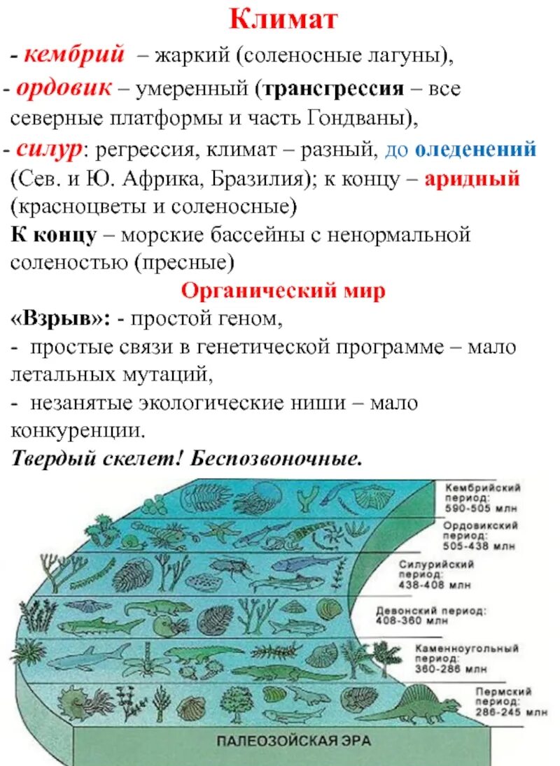 Климат периодов. Палеозой Эра Кембрий. Палеозойская Эра период Кембрий климат. Климат в Кембрийский период кратко. Кембрий геологические изменения.