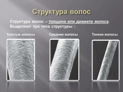 Пористость волос