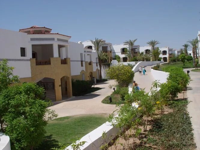 Amphoras beach 5 хадаба шарм эль шейх. Amphoras beach 5*. Amphoras beach 5 хадаба шарм эль шейх. Отель shores amphoras 5 египет шарм. 5 отель amphoras beach.