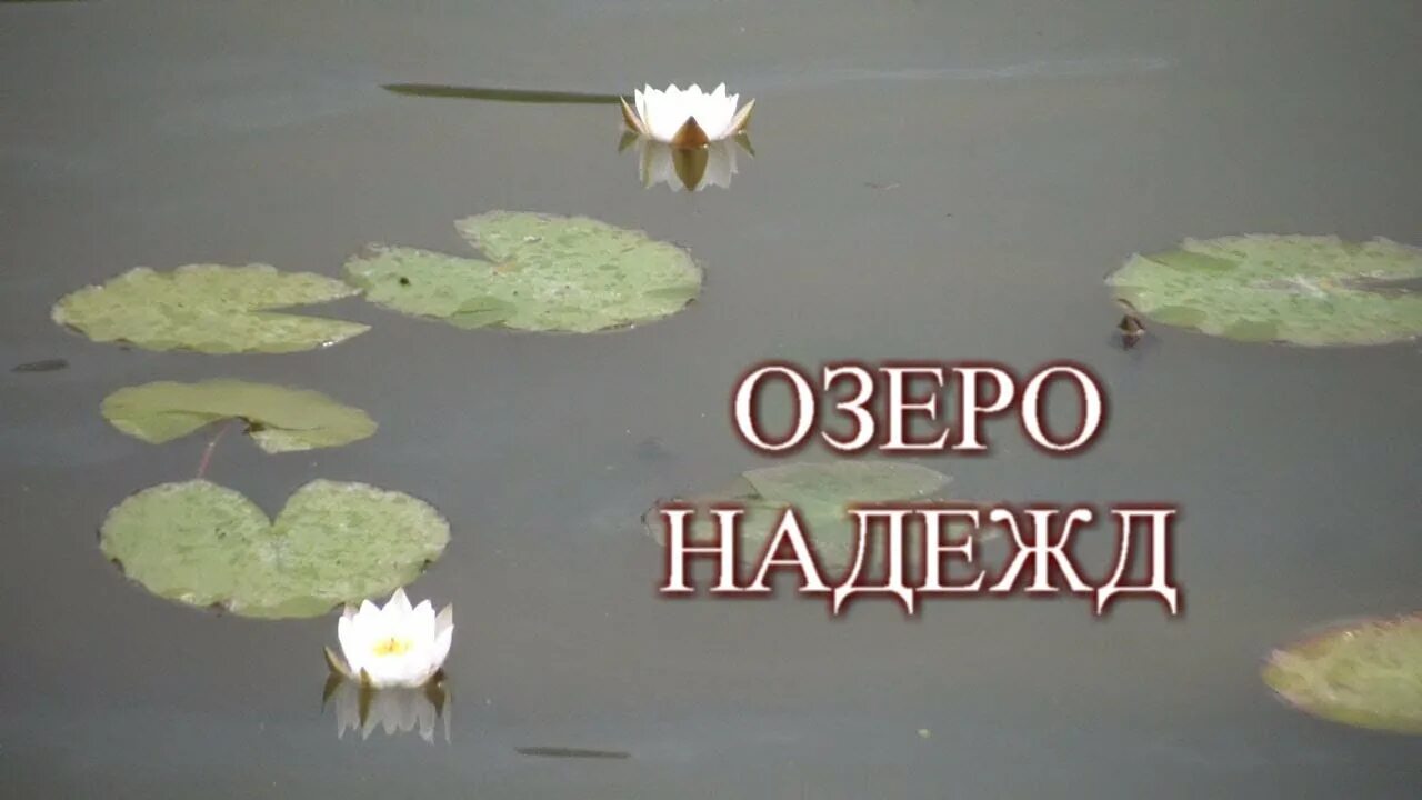 Озеро надежды текст. Озеро надежды. озеро надежды картинки. озеро надежды прикол. озеро надежды на карте.