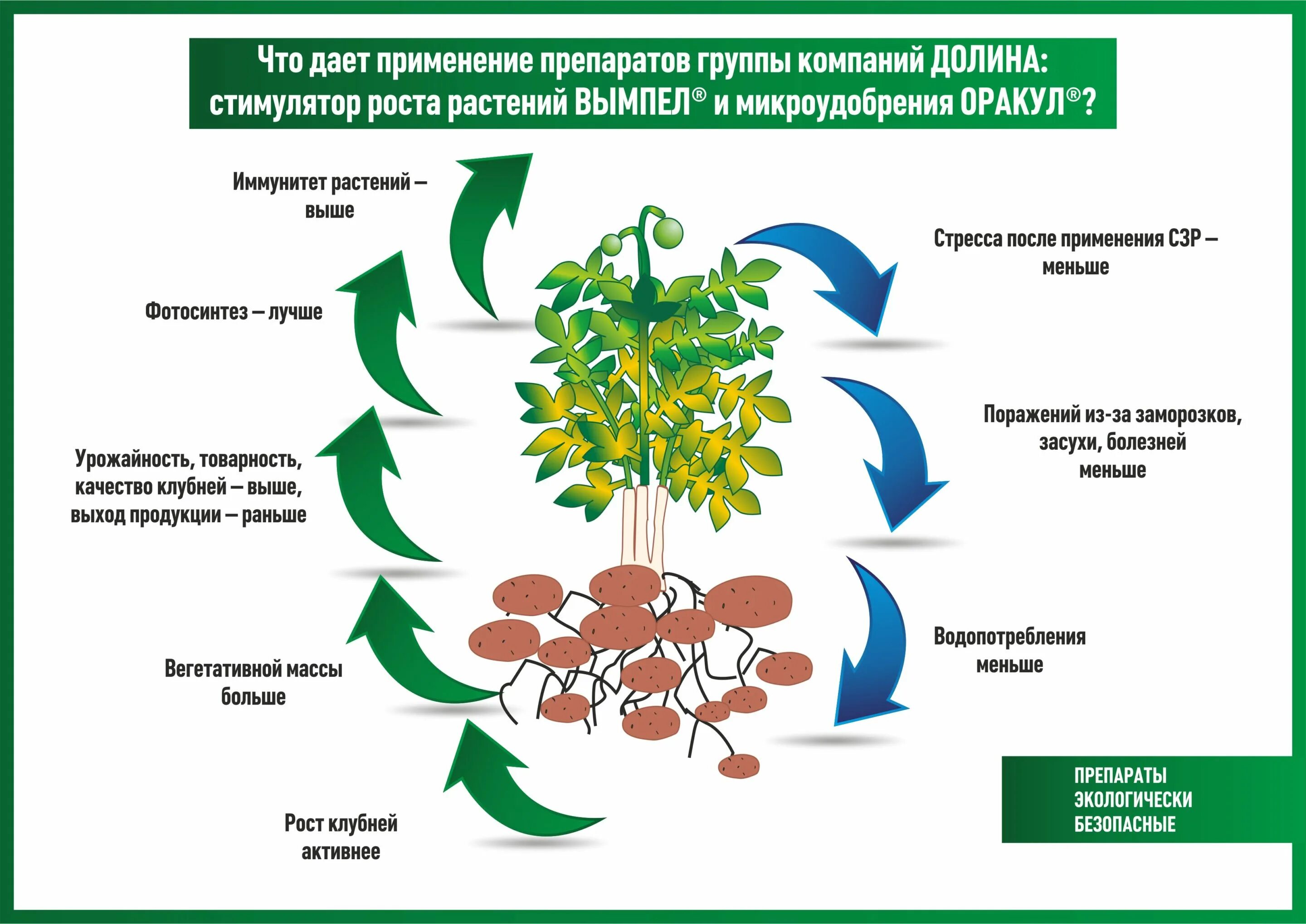 В процессе использования и роста. Удобрения для растений. гормоны растений фитогормоны. влияние удобрений на растения. регуляторы роста и развития растений.