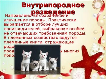 Методы совершенствования пород