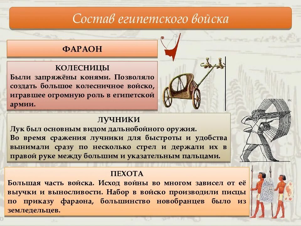 Состав египетского войска. Структура египетской армии. Структура армии древнего Египта. Армия Египта в древности.