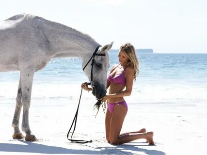 18 hors