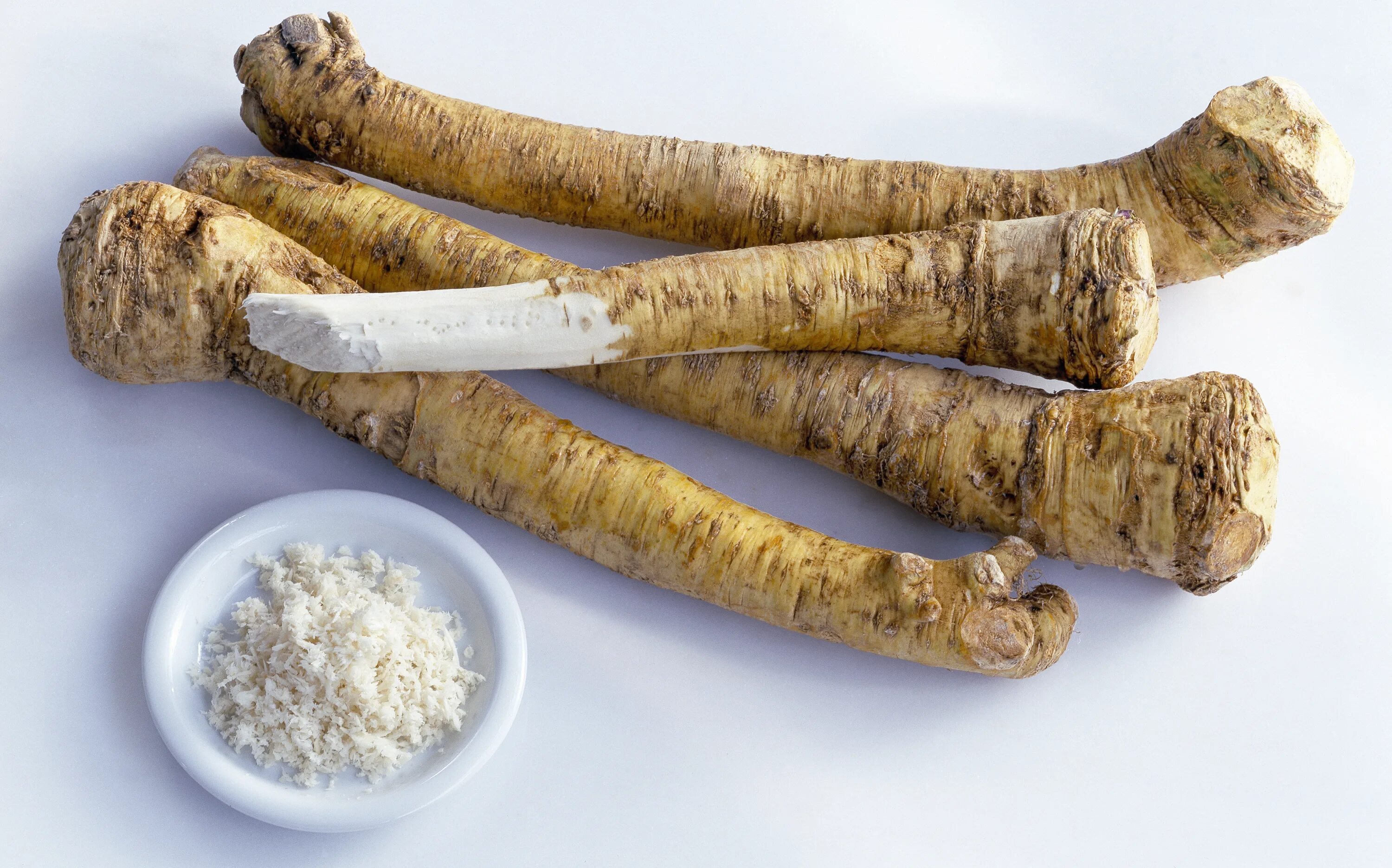 Как быстро избавиться от хрена. Хрен horseradish. корень хрена. хрен корнеплод. хрен овощ.