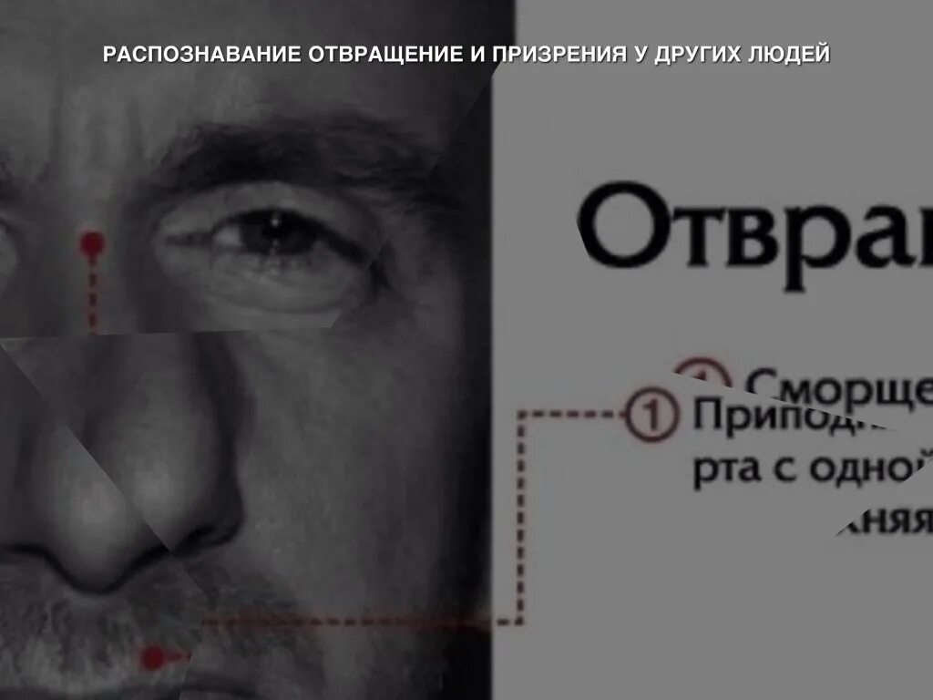 Тест выбрать человека который вызывает наибольшее отвращение. Страх обмани меня. отвращение обмани меня. обмани меня эмоции. презрение.