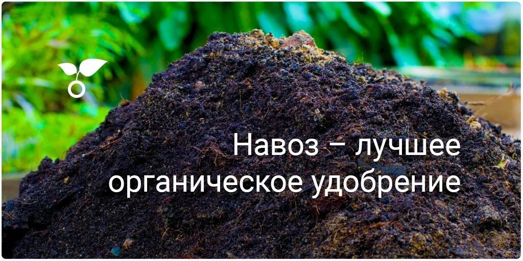 Курнул но вроде не навоз как называется. Визитки навоз перегной. Навоз перегной реклама. Навоз надпись. Навоз лучшее органическое удобрение.