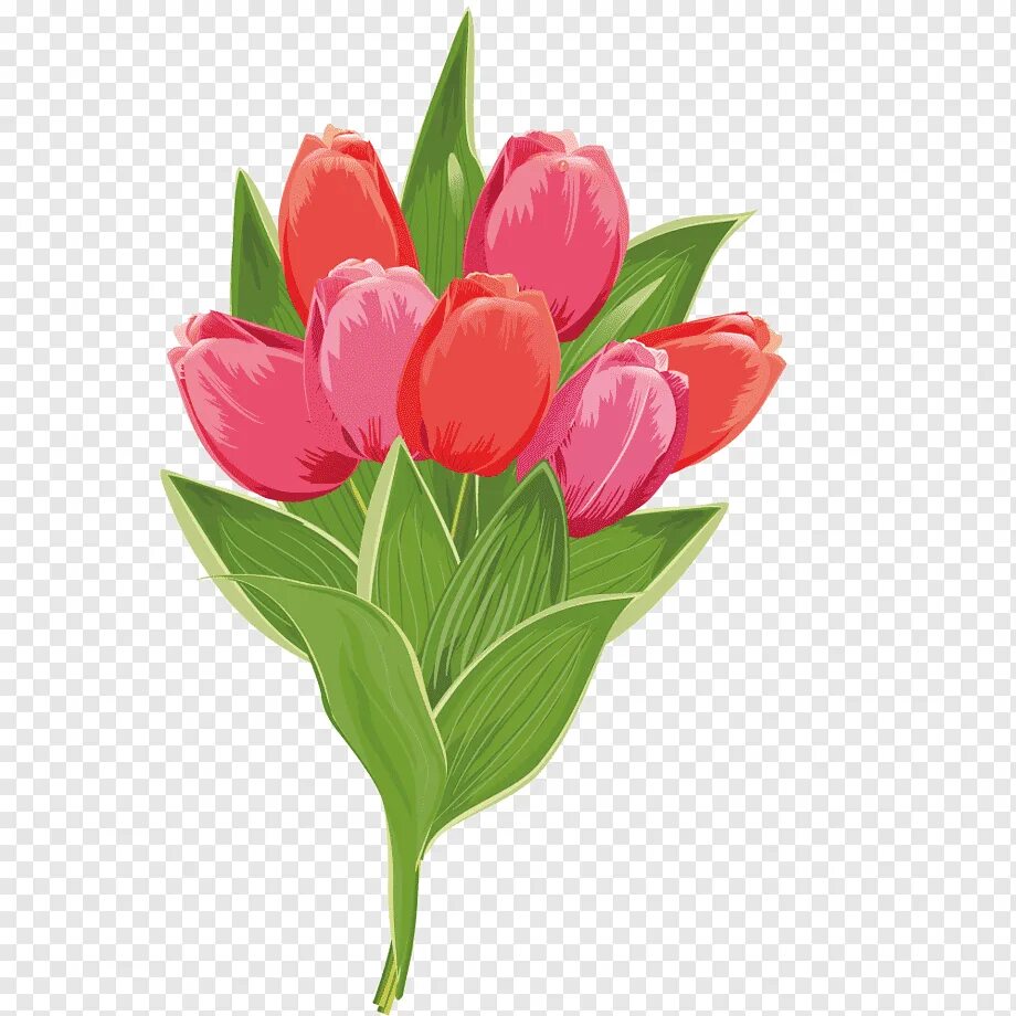 Тюльпаны картинки для детей в детском. Цветы тюльпаны. Тюльпаны мультяшные. Векторные тюльпаны. Тюльпан для детей.
