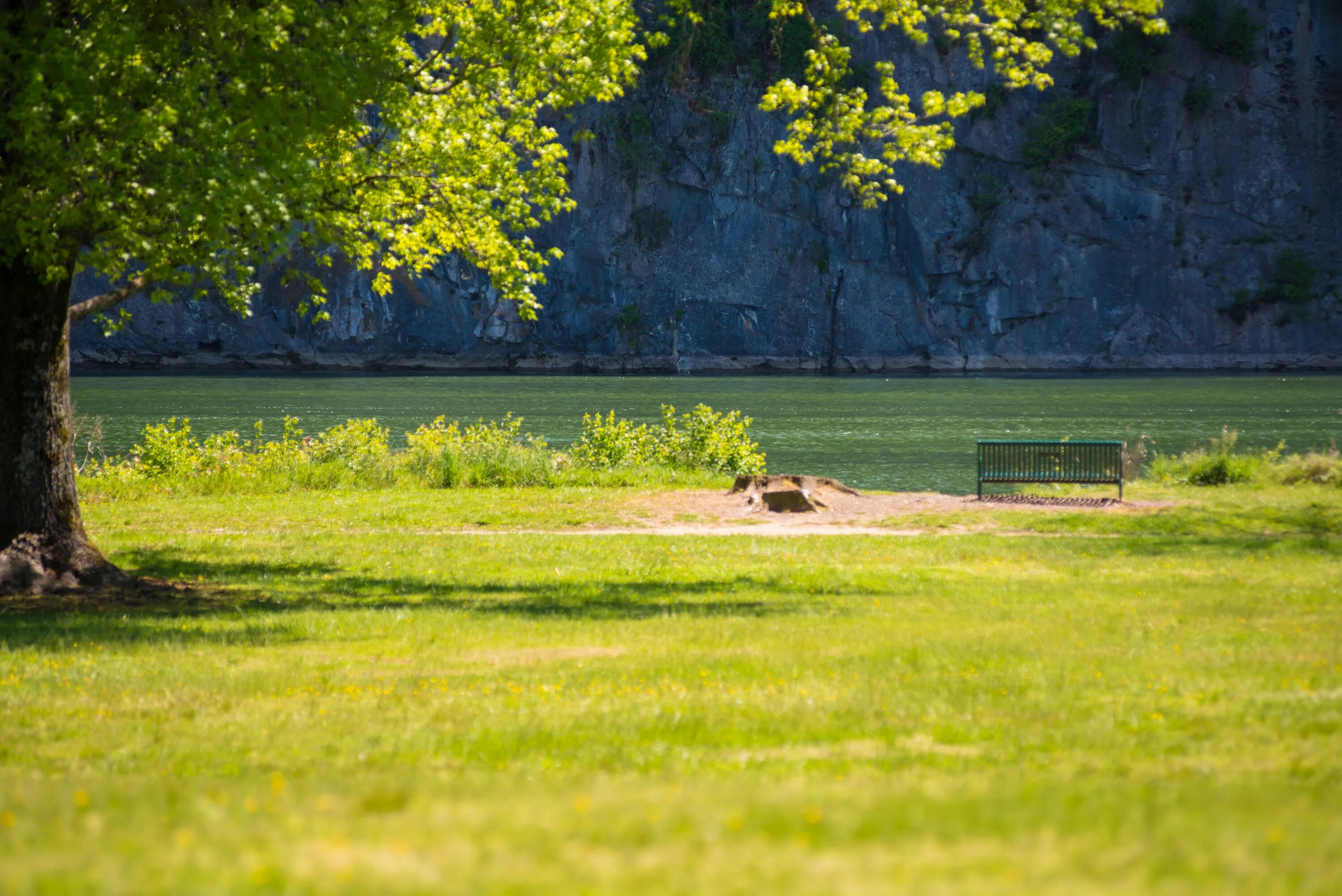 Park scene. Лужайка у реки. Природа лужайка. Скамейка у озера. Пейзаж с лужайкой и скамейкой.