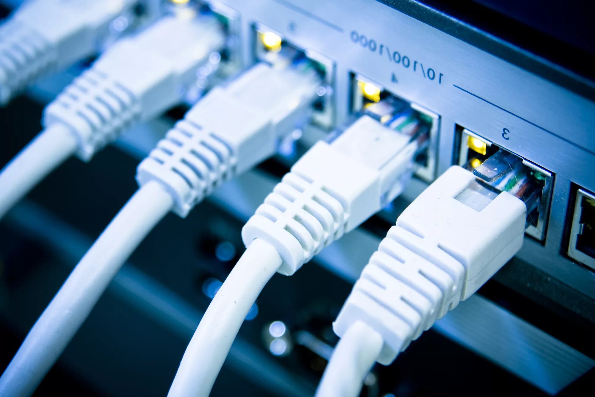 Ethernet web