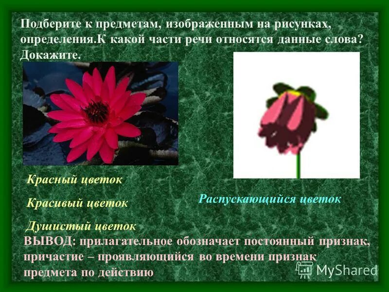 признаки предметов по форме прилагательные. причастие как часть речи 7 класс. цветок признаки предмета. признак слова цветок. подбор признаков к словам.