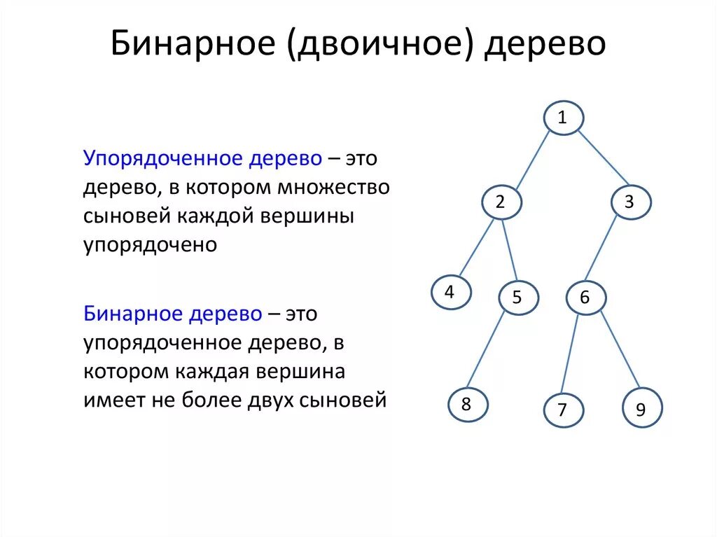 Бинарные данные это. Бинарное дерево пример. Бинарноедвичное дерево. Упорядоченное бинарное дерево. Двоичное дерево.