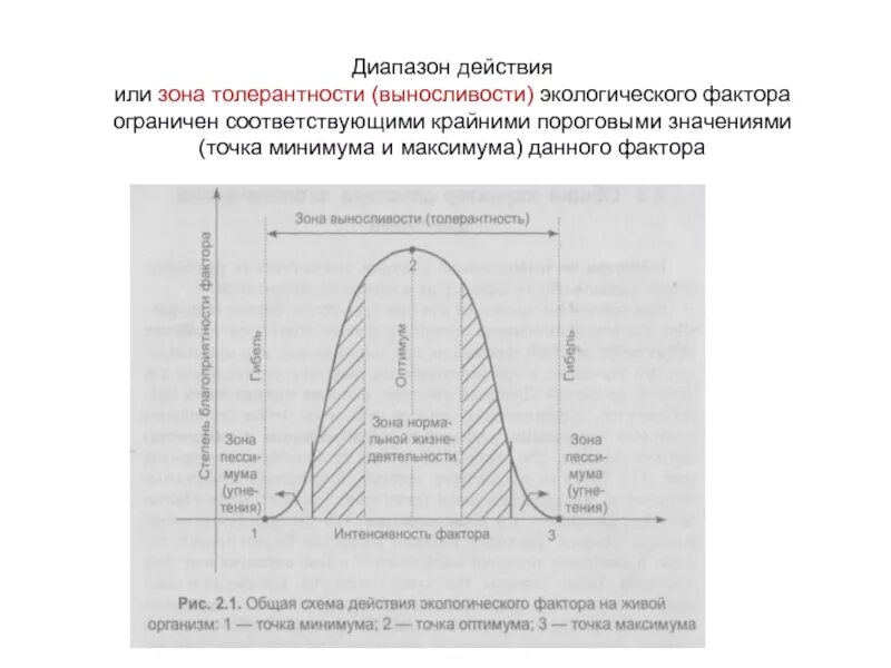 Диапазона действие