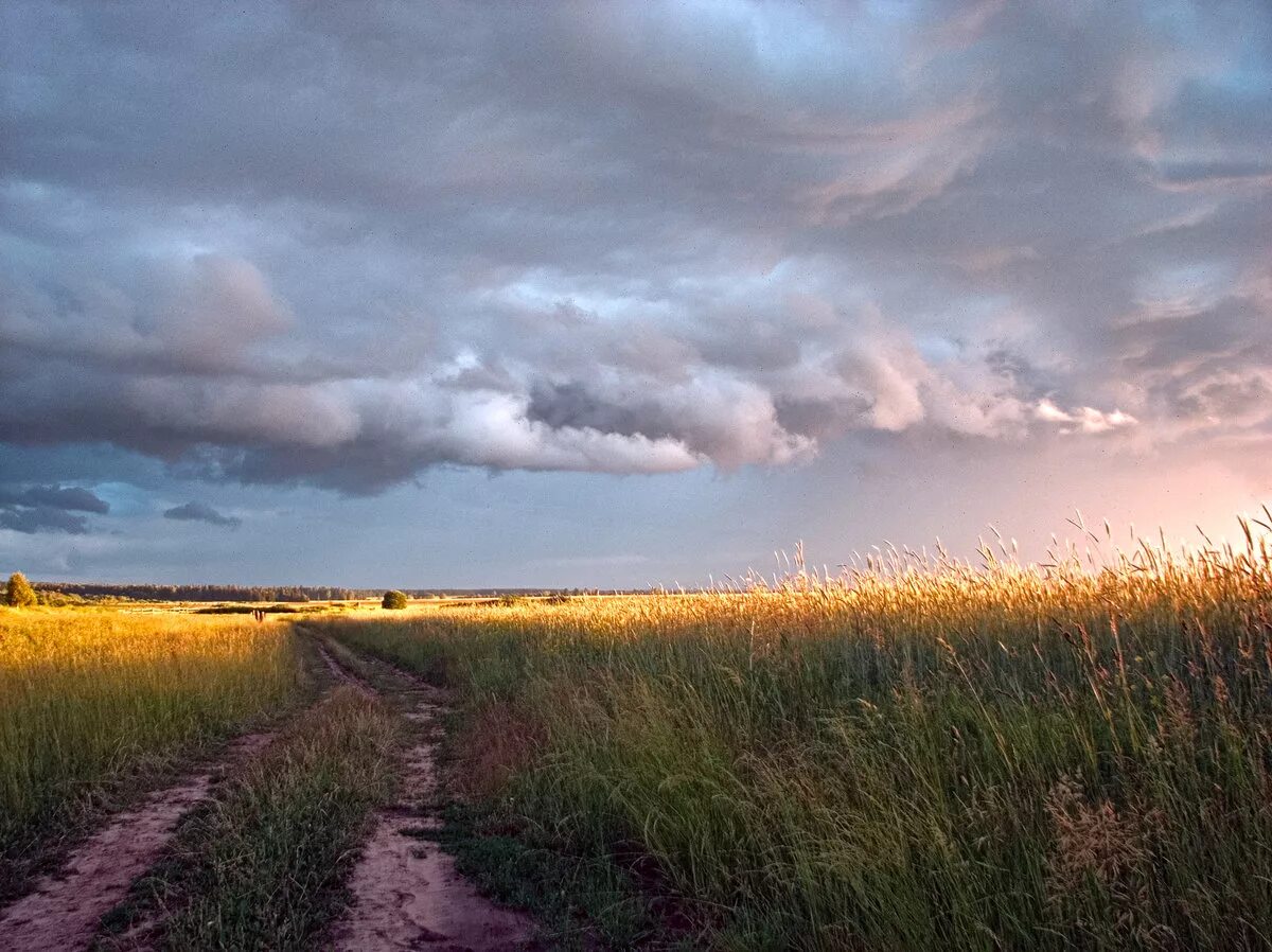 Туча нн. Природа перед грозой. Небо перед грозой. Облака над городом. Облачность над городом.