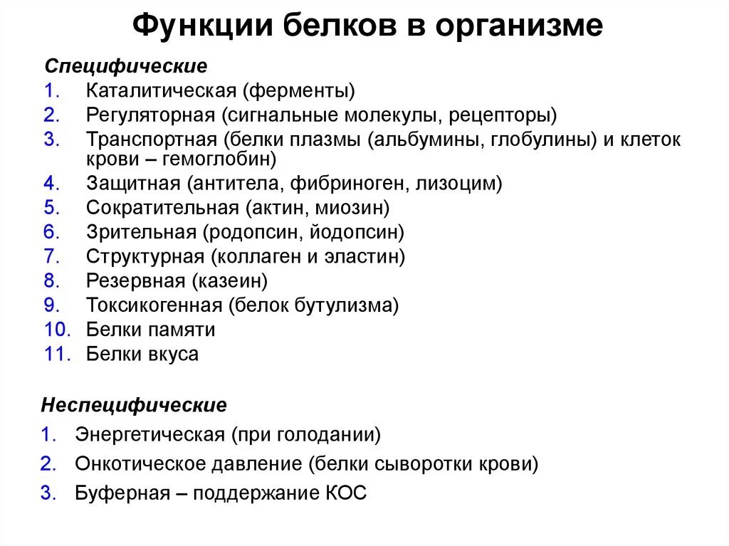 Список функций белков. Перечислите основные функции белков в организме. Перечислите функции белков в организме человека. Основные функции белков в организме человека. Перечислите основные функции белков в организме человека..