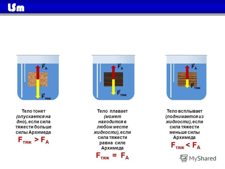 опыты по физике плавание судов. почему металлический корабль плавает а гвоздь тонет. почему металлический корабль плавает а гвоздь тонет. почему корабли не тонут для детей. сила архимеда плавание судов.