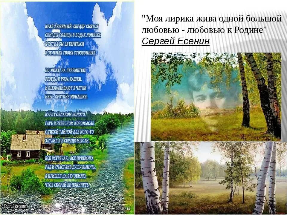 Стихотворение некрасова соловьи текст. Соловьи некрасов читать. Литературные стихи. "стихотворения". Читать стихи 5 класса.