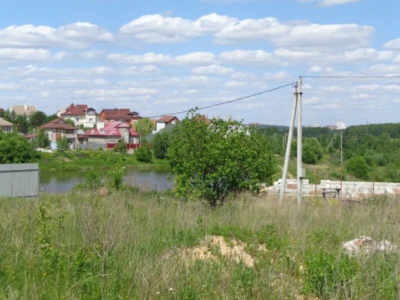 Басово Прудный Тула. Деревня Прудное Тула. Басово Прудный Тула пруд. Басово Прудный Тула Каштановая. Басово прудный