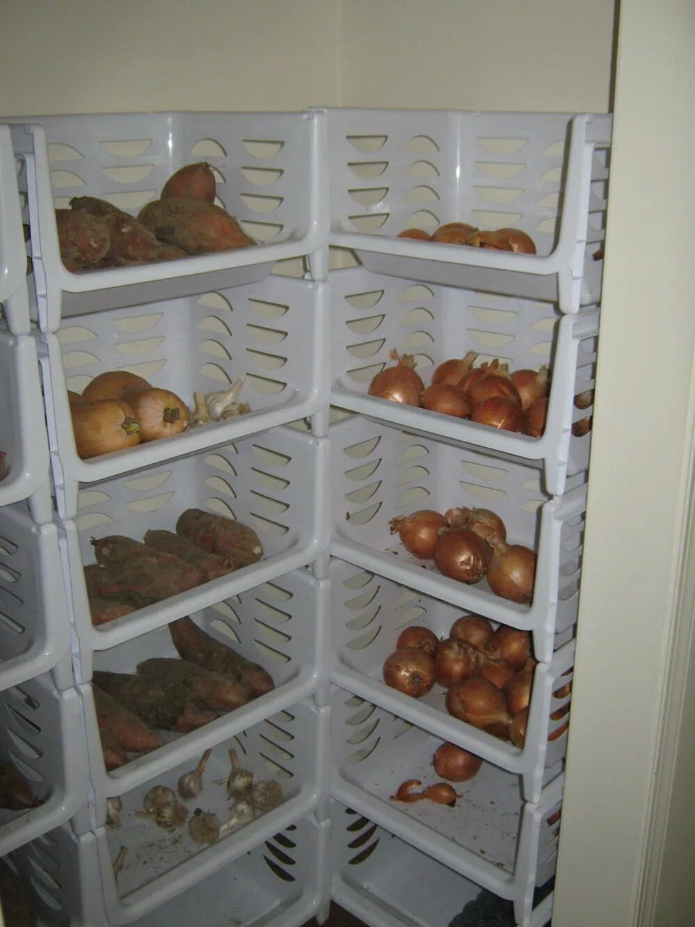 Можно хранить картофель в холодильнике. Ящики для хранения овощей в погребе. Хранение овощей в кладовке. Стеллаж для картошки в погребе. Стеллаж для хранения картофеля.