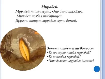Не будете зерна