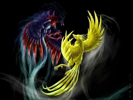 Vs fenix