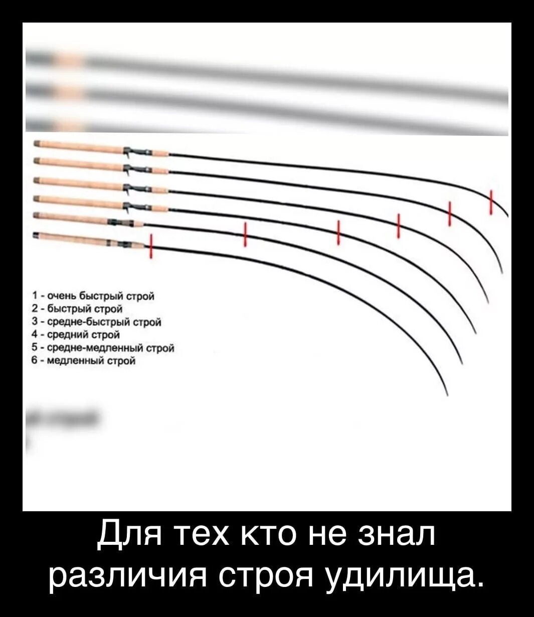 Строй спиннинга. Средне быстрый строй. Строй фидерных удилищ схема. Средний строй фидерного удилища. Средне быстрый строй удилища.