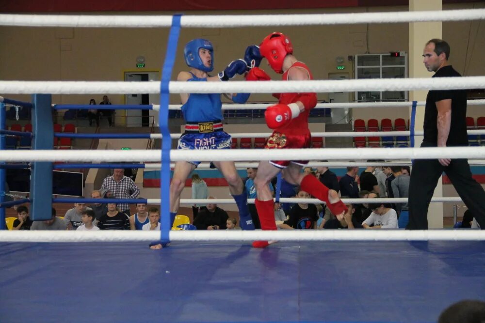 Турнир тайский бокс мордовия. Первенство мордовии по боксу 2022г. Бокс саранск. Пфо бокс. Чемпионат пфо по боксу 2021.