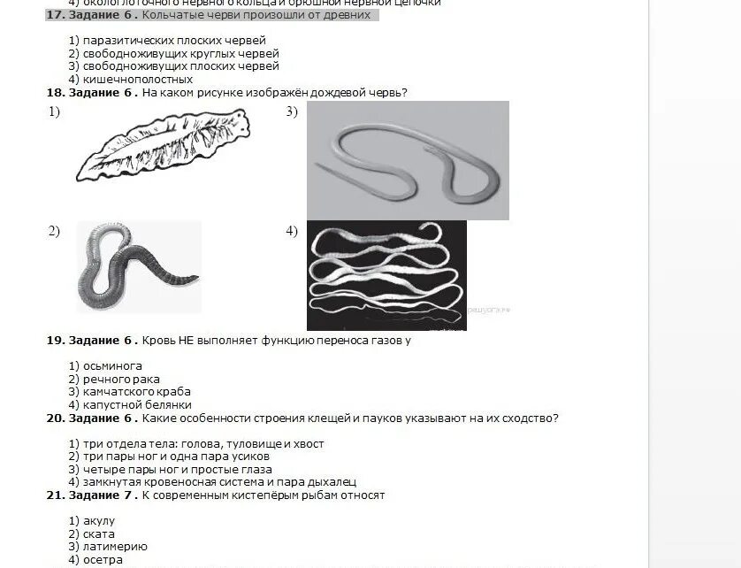 Тесты по червям 7. Тип круглые черви задания. Задание плоские и круглые черви. Черви задания. Кольчатые черви задания.