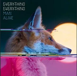 Everything everything everything everything like