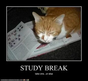 I ll be taking a break