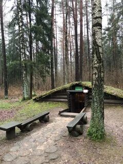 Партизанский лагерь пионерская ул 5