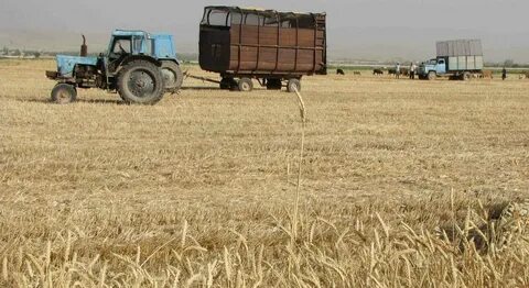 Аграрный проект