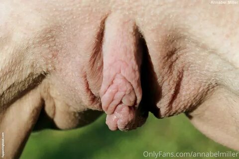 annabelmiller Nude, OnlyFans Leaks, The Fappening - Photo 6425138 - Fappen...