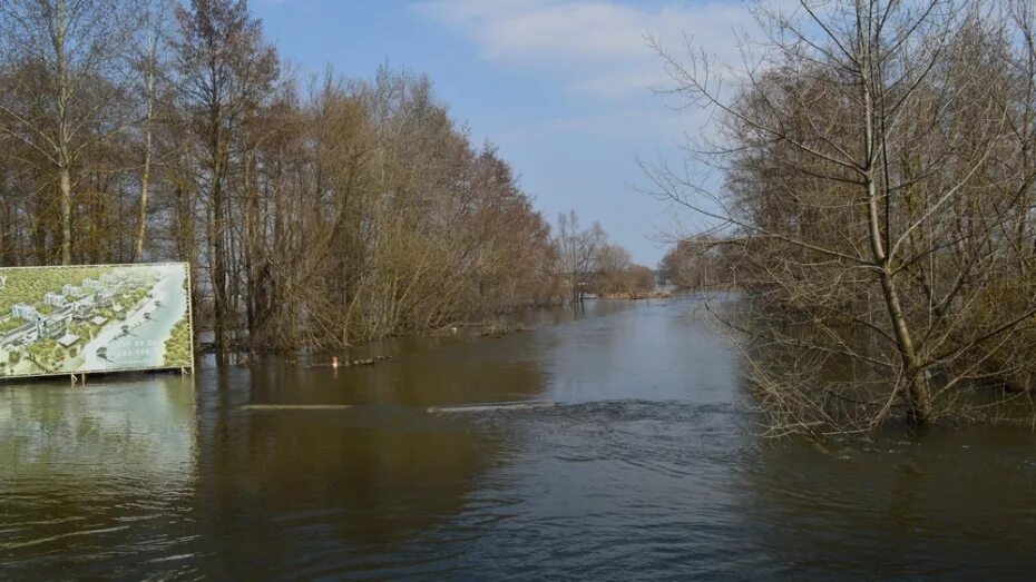 Уровень воды в реке воронеж. Ступино Рамонь река Воронеж. Разлив реки Воронеж в Ступино. Ступино Воронеж половодье. Разлив реки Воронеж в Рамони 2023.