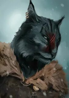 Кот воин