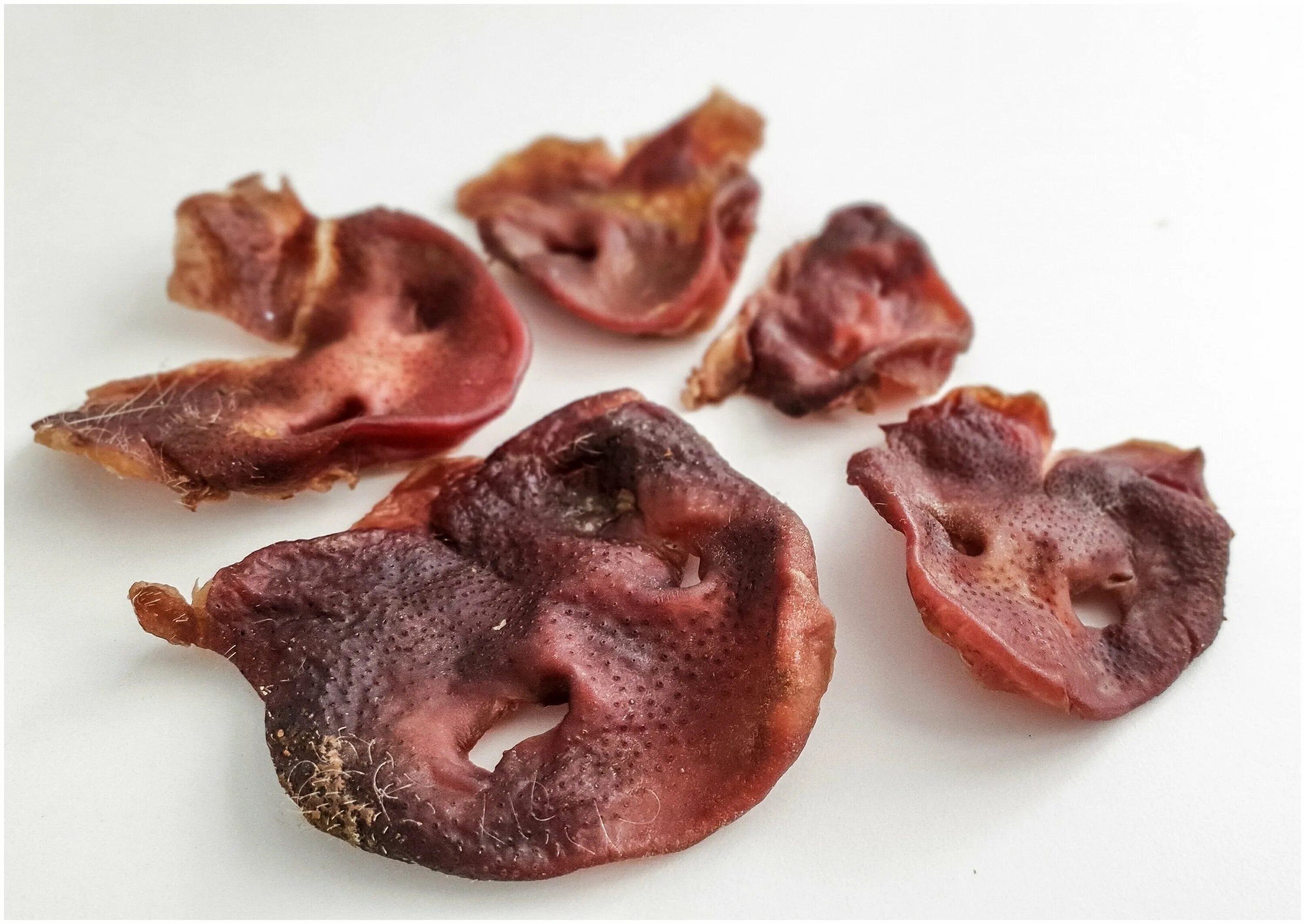 Свиные пятачки для собак. Лакомство "пятачки свиные". Titbit пятачок свиной (25 г). Лакомство "пятачки свиные". Свиные пятачки для собак.