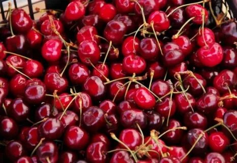 Day cherry