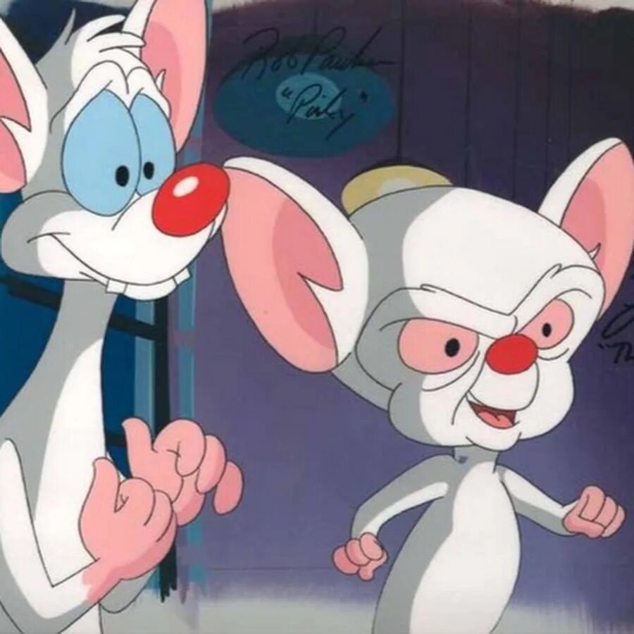 Pinky and brain. Пинки и Брейн захватить мир. Пинки и Брейн картинки. Мыши которые хотели захватить мир.