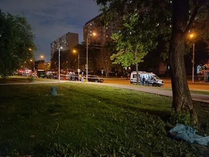 Драка в бирюлево западное сегодня