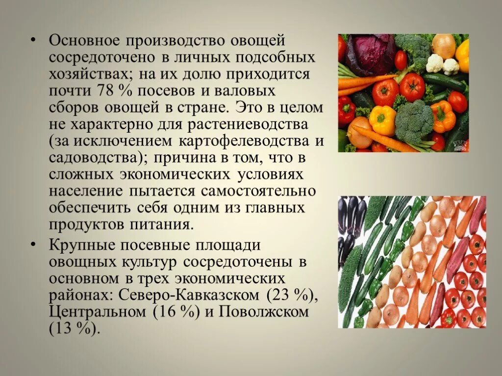 Какая какое овощеводство. Отрасли овощеводства. Презентация на тему овощеводство. Овощеводство проект. Овощеводство доклад.