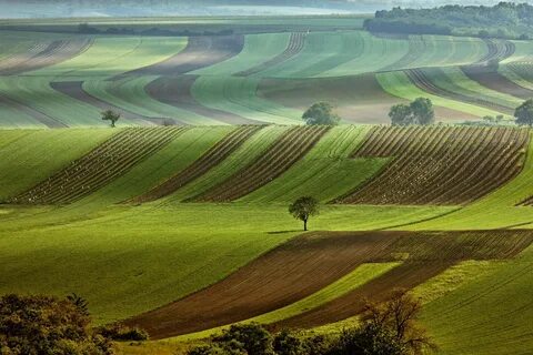 Комплекс рельеф