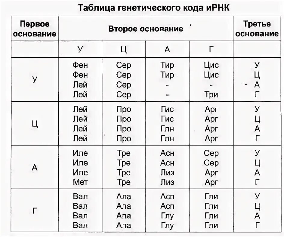 Таблица полных названий аминокислот Презентация по Химии "Аминокислоты" скачать смотреть бесплатно