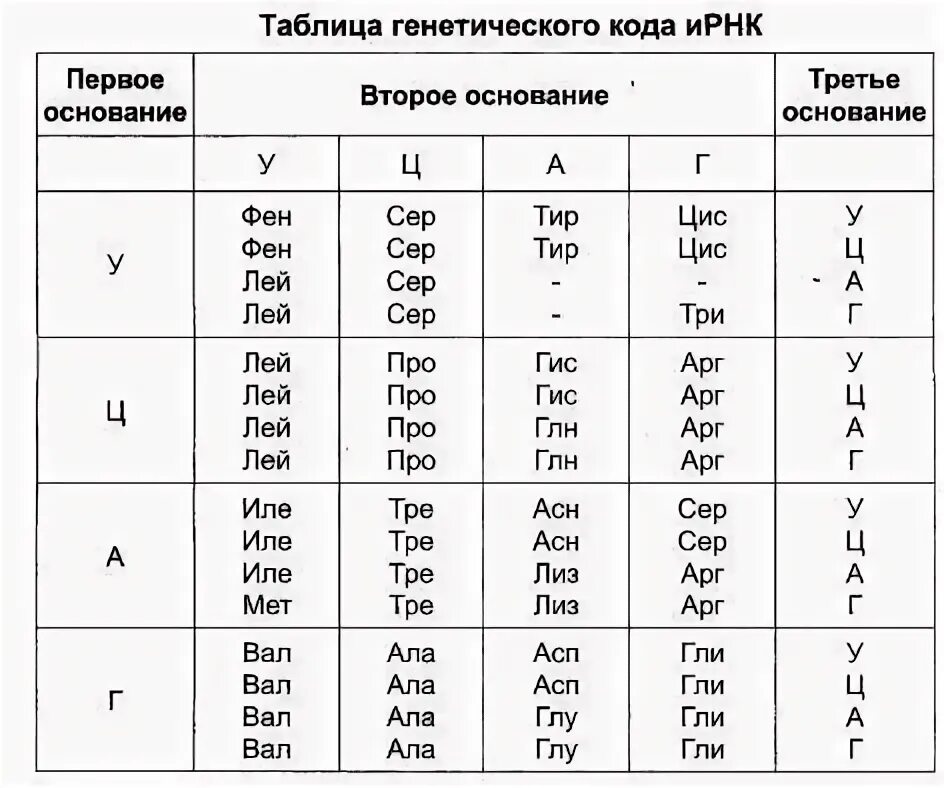 Фрагмент цепи днк имеет последовательность атааггатгццтттт. Таблица генетический код биология. Таблица генетического кода ИРНК С полными названиями. Аминокислоты ДНК И РНК таблица.