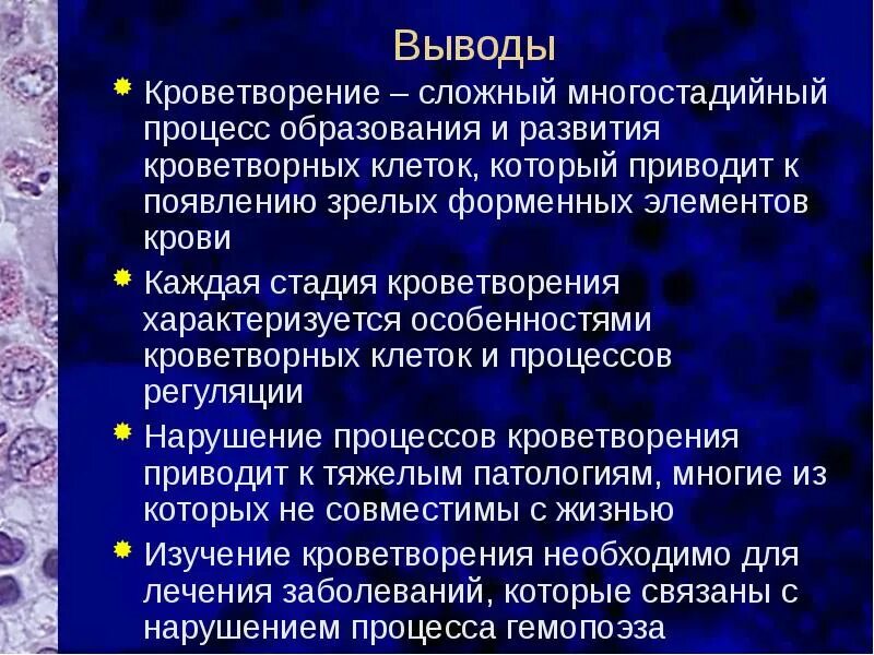 Эмбриональный гемопоэз функции. Процесс гемопоэза. Процесс образования крови. Печеночный этап гемопоэза.