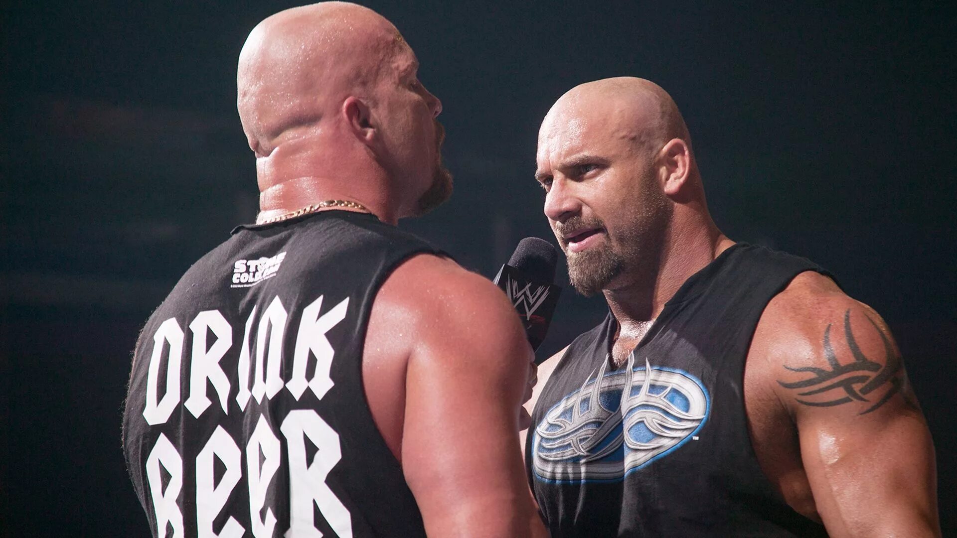 Steve vs stone