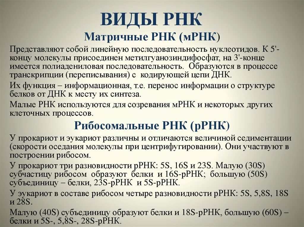 Функциональная рнк. Рибосомальная РНК функции. Виды рибосомных РНК. Типы рибосомальной РНК. Р РНК функция.